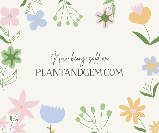 Lemongrass Body Oil